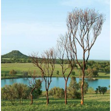 MANZANITA Natural 4' - (FOB TX)